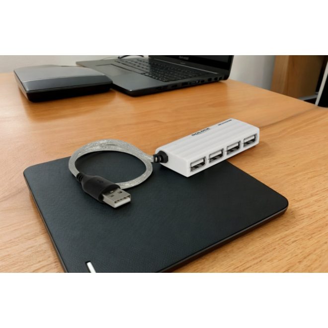 Delock USB 2.0 hub, elosztó 4 porttal