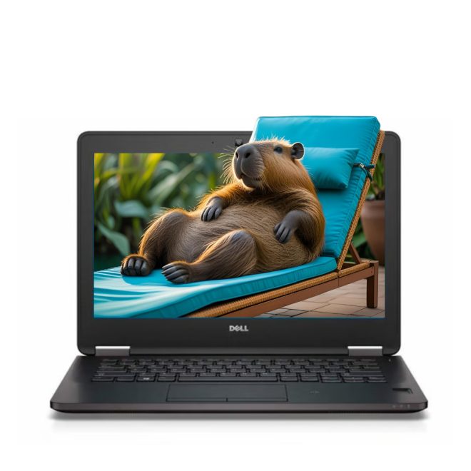 Dell Latitude E7270 | Win10 | Ii5-6300U | 8GB memória | 256GB SSD | 12,5 colos HD Kijelző | MAGYAR BILLENTYŰZET | 2 év garancia!