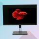 HP Z23N G2 Monitor | 23 colos | 1920 x 1080 felbontás | 16:9 képarány | DisplayPort, HDMI, D-Sub | 2 év garancia! 