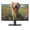 Lenovo ThinkVision T24I-2L monitor | 24 colos | 1920 x 1080 felbontás | 16:9 képarány | DisplayPort, HDMI, D-Sub | 2 év garancia!