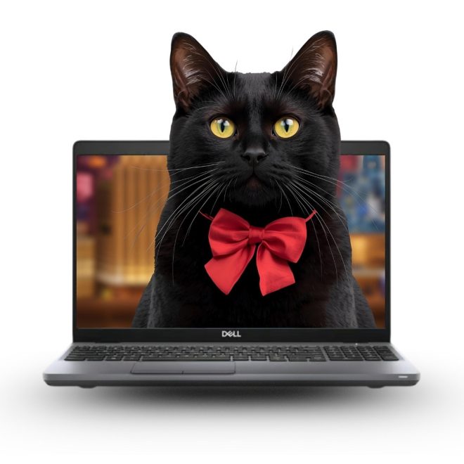 Dell Latitude 5510 | Win11 | i5-10310U | 32GB RAM | 1TB SSD | 15,6 colos Full HD kijelző | MAGYAR BILLENTYŰZET | 2 év garancia!