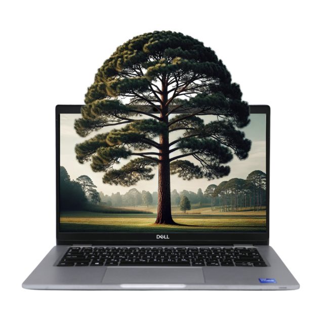 Dell Latitude 5320 | Win11 | i5-1145G7 | 16GB memória | 256GB SSD | 13,3 colos FULL HD Kijelző | MAGYARÍTOTT BILLENTYŰZET | 2 év garanciával