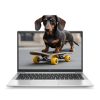 HP EliteBook 840 G8 | Win11 | i5-1145G7 | 16GB memória | 512GB SSD | 14 colos Full HD kijelző | MAGYARÍTOTT BILLENYTŰZET | 2 év garanciával