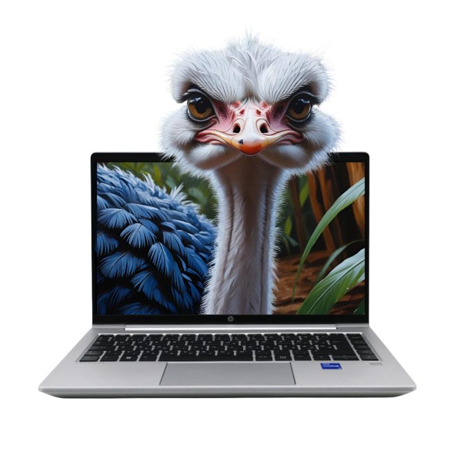HP ProBook 440 G10 | Win11 | i5-1335U | 16GB Memória | 512GB SSD | 14 colos Full HD Kijelző | MAGYARÍTOTT BILLENTYŰZET | 2 év garanciával