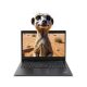 Lenovo ThinkPad L480 | Win11 | i5-8350U | 16GB memória | 256GB SSD | 14 colos Full HD kijelző | MAGYARÍTOTT BILLENTYŰZET | 2 év garanciával