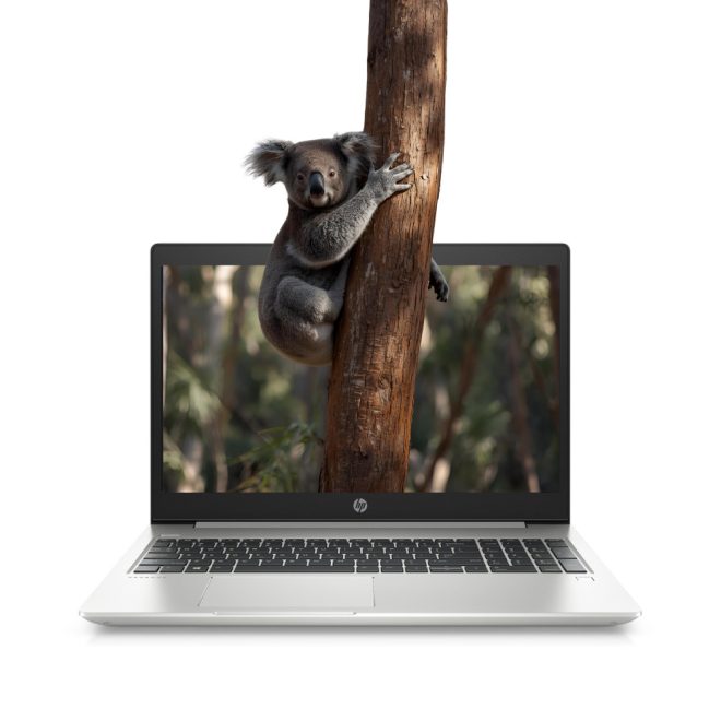 HP ProBook 450 G6 | Win11 | i3-8145U | 32GB memória | 1TB SSD | 15,6 colos FULL HD kijelző | MAGYARÍTOTT BILLENTYŰZET | 2 év garanciával