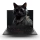 Lenovo Thinkpad T14 Gen 1 | Win11 | i5-10310U | 8GB memória | 1TB SSD | 14 colos FULL HD kijelző | MAGYAR BILLENTYŰZET | OUTLET | 2 év garancia!