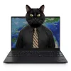 Lenovo Thinkpad T490S | Win11 | i5-8365U | 16GB memória | 2TB SSD | 14” 1920x1080 (Full HD) kijelző | MAGYAR BILLENTYŰZET | 2 év garancia!