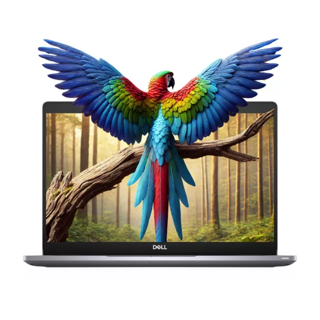 Dell Latitude 5310 | Win11 | i5-10310U | 16GB memória | 512GB SSD | 13,3 colos FULL HD kijelző | MAGYARÍTOTT BILLENTYŰZET | 2 év garancia!