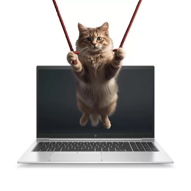 HP EliteBook 850 G7 | Win11 | i5-10210U | 64GB memória | 256GB SSD | Geforce MX250 | 15,6 colos FULL HD kijelző | MAGYAR BILLENTYŰZET | 2 év garancia!