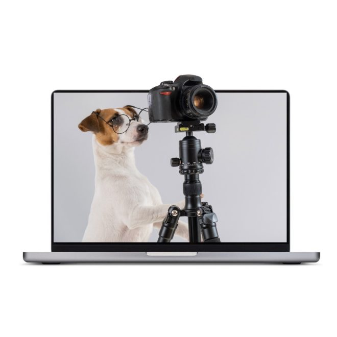 Apple Macbook Pro M3 (A2918) | macOS | M3 | 8GB memória | 512GB SSD | 14” 3024x1964 (Liquid Retina XDR) kijelző | MAGYAR BILLENTYŰZET | 1 év garancia!