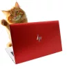 HP EliteBook 840 G7 RUBINVÖRÖS SZÍNŰ | Win11 | i5-10310U | 16GB memória | 256GB SSD | 14” 1920x1080 (Full HD) kijelző | MAGYAR BILLENTYŰZET | 2 év garancia!
