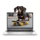 HP EliteBook 840 G8 | Win11 | i5-1145G7 | 16GB memória | 512GB SSD | 14” 1920x1080 (Full HD) kijelző | MAGYAR BILLENTYŰZET | OUTLET | 2 év garancia!