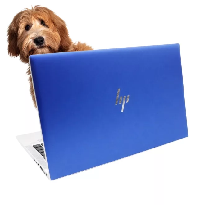 HP EliteBook 840 G8 CANDY BLUE SZÍNŰ | Win11 | i5-1135G7 | 16GB memória | 256GB SSD | 14” 1920x1080 (Full HD) kijelző | MAGYAR BILLENTYŰZET | 2 év garancia!