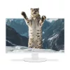 NEC MultiSync E271N IPS monitor | 27 colos | 1920x1080 (16:9) Full HD | HDMI | DisplayPort | VGA | Hangszóró | Forgatható állvány | Fehér | 2 év garancia!