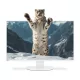 NEC MultiSync E271N IPS monitor | 27 colos | 1920x1080 (16:9) Full HD | HDMI | DisplayPort | VGA | Hangszóró | Forgatható állvány | Fehér | 2 év garancia!