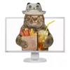 EIZO FlexScan EV2336W PLS monitor | 23 colos | 1920x1080 Full HD | DisplayPort | DVI | VGA | USB Hub | Hangszóró | Fényérzékelő | 2 év garancia!