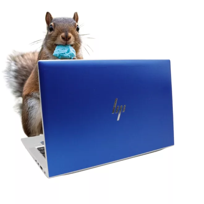 HP EliteBook 830 G8 CANDY BLUE SZÍNŰ | Win11 | i5-1135G7 | 16GB memória | 256GB SSD | 13,3” 1920x1080 (Full HD) kijelző | MAGYAR BILLENTYŰZET | 2 év garancia!