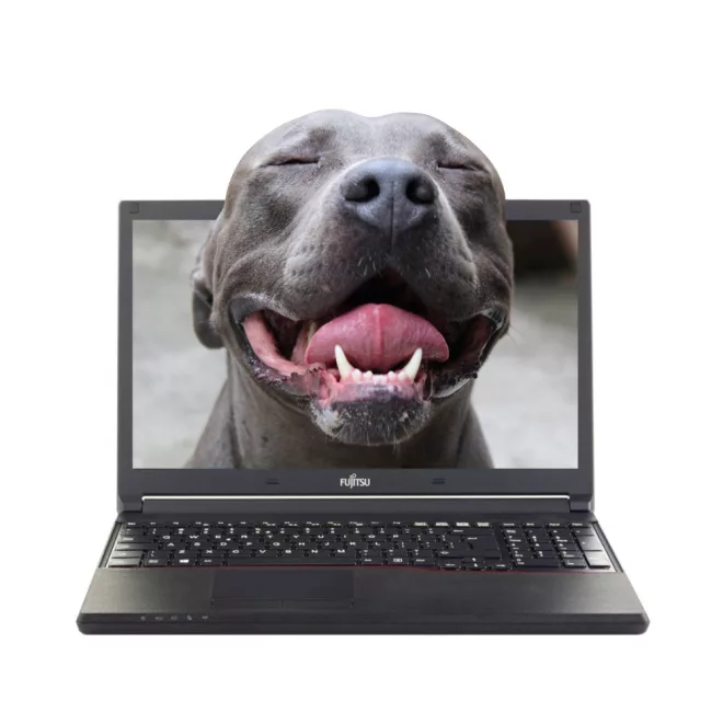 Fujitsu LifeBook E554 | Win10 | i5-4210M | 16GB memória | 256GB SSD | 15,6” 1366x768 (HD) kijelző | MAGYAR BILLENTYŰZET | 2 év garancia!