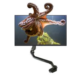 Használt Dell monitor