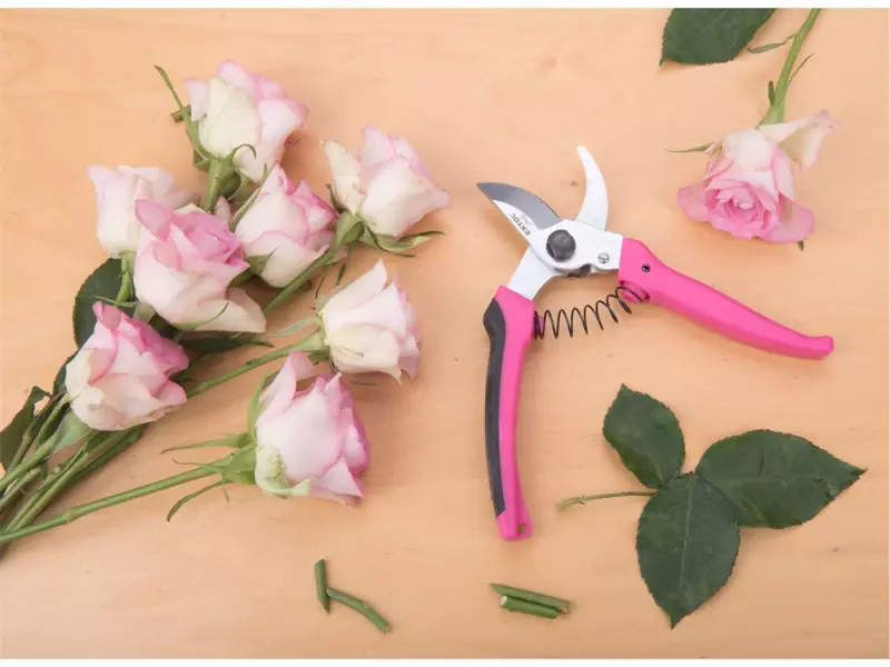 EXTOL® LADY metszőolló, virágokhoz, max 15 mm átvágás, hossz 17 cm, mellévágó, rózsaszín (9272)