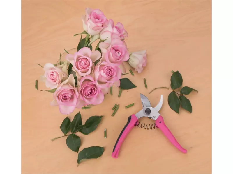 EXTOL® LADY metszőolló, virágokhoz, max 15 mm átvágás, hossz 17 cm, mellévágó, rózsaszín (9272)