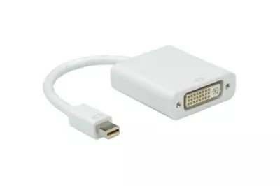 Roline Mini Displayport (apa) - DVI port (anya) átalakító kábel (12.03.3128)
