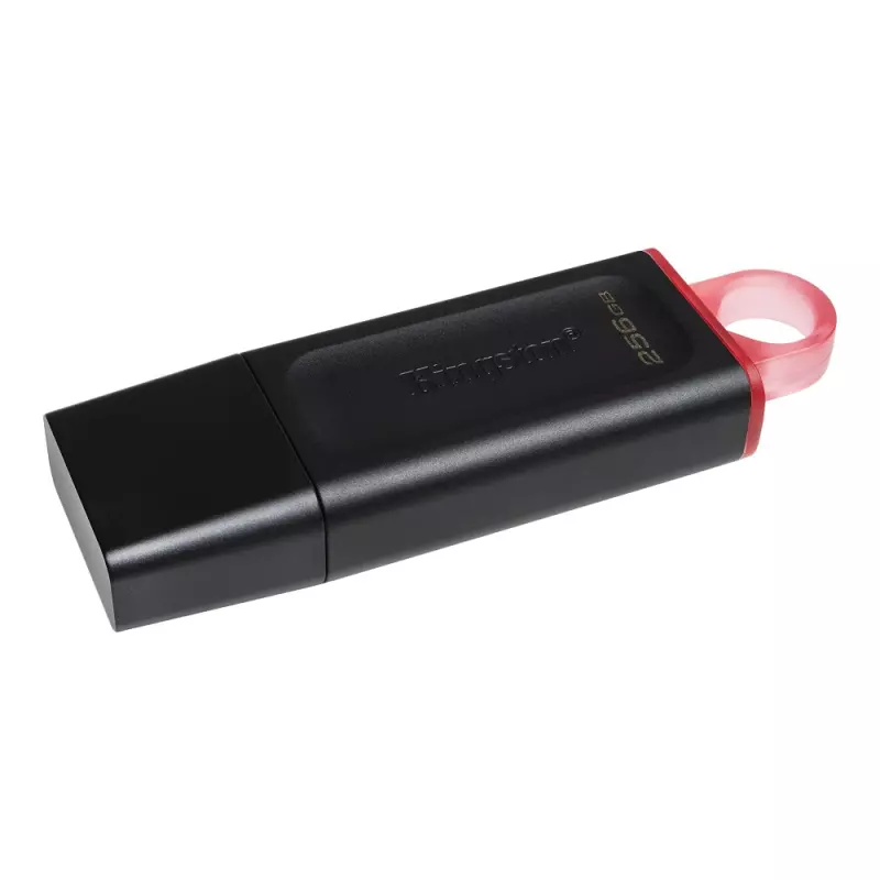 Kingston DataTraveler Exodia 256GB USB 3.2 (Gen 1) fekete-piros pendrive (DTX/256GB)