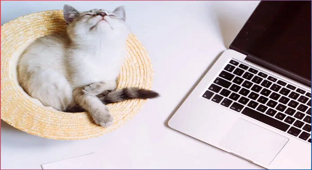 Kikapcsold, vagy ne kapcsold ki éjjelre a laptopot?